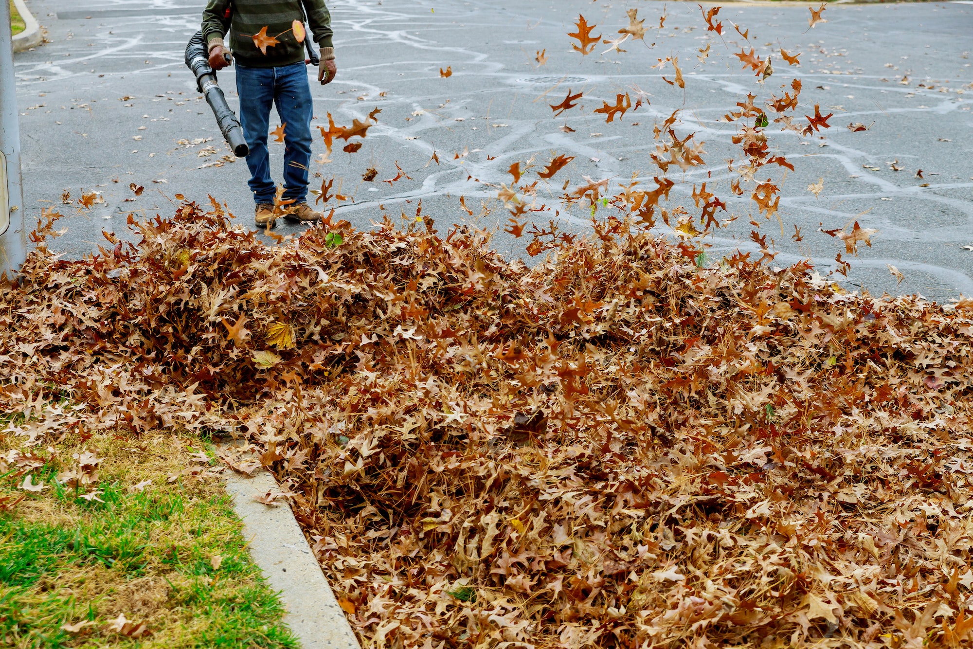 Leaf removal